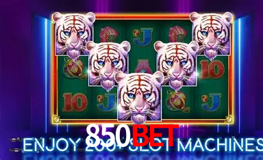 Mesas ao vivo 850bet